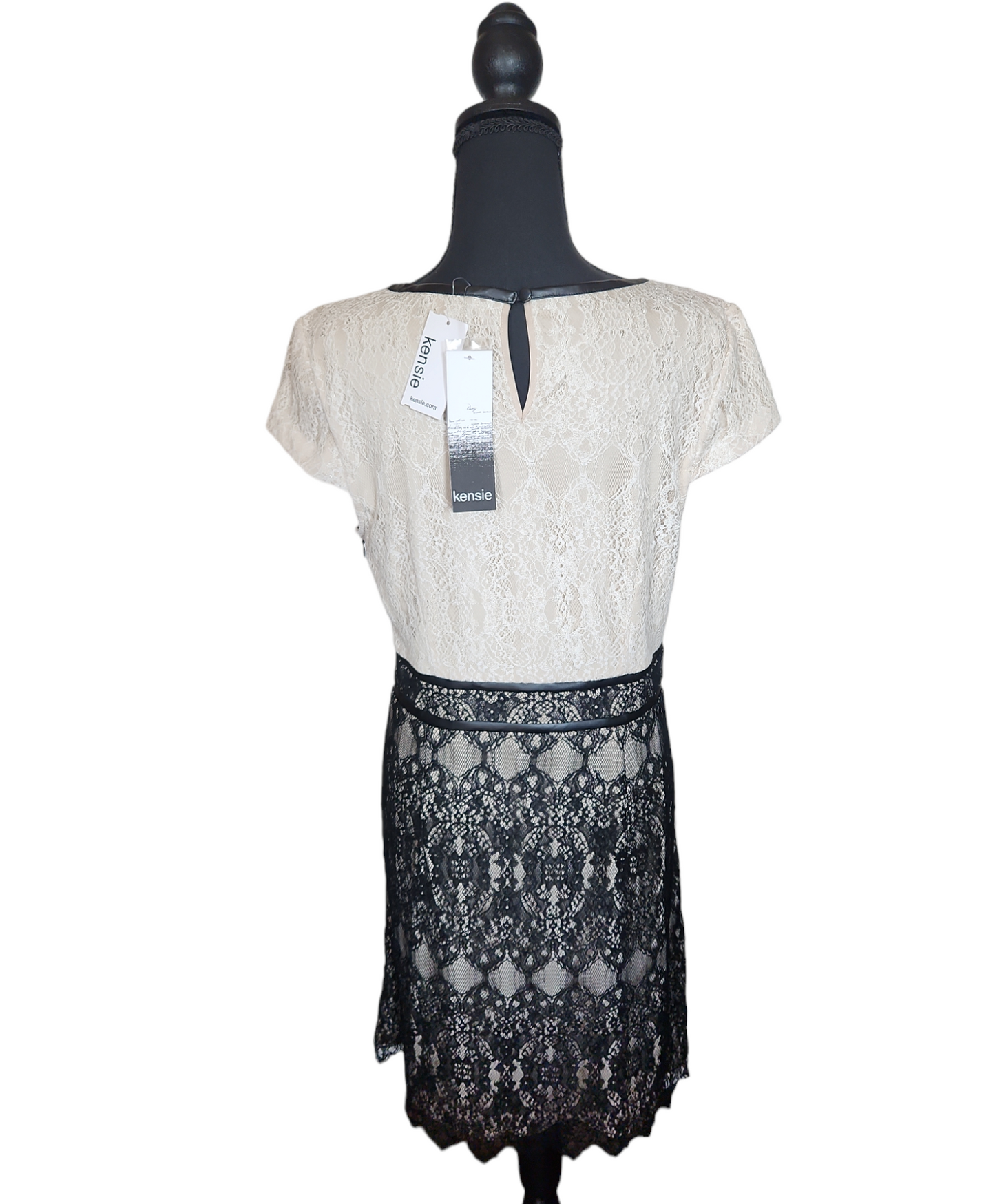 (NWT) Kensie - Cream & Black Lace Dress